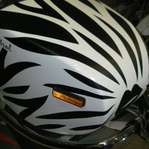 Ural_gets_her_stripes_003