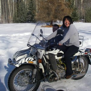 Ural_gets_her_stripes_012