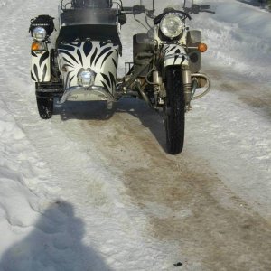 Ural_gets_her_stripes2_005