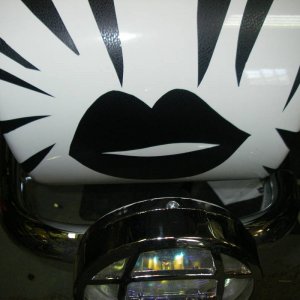 Ural_gets_her_stripes_002