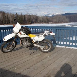 Feb 23, 2010 (2)