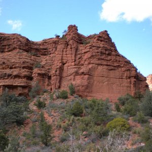 DSCN0483