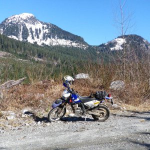 Sylvester_003