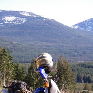 Sylvester_008