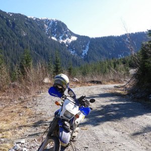 Sylvester_0041