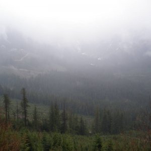 IMGP0292