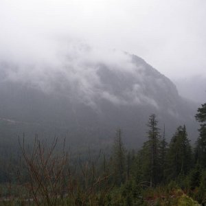 IMGP0293