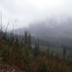 IMGP0291