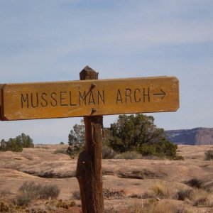 DSCN1060