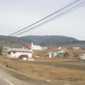 Spring in Hazeltron