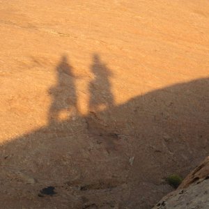 IMG_1537