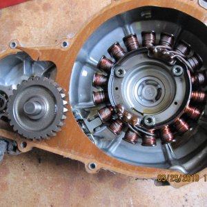 DR650 Stator