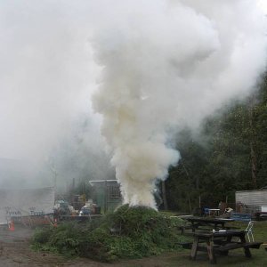 Orca_Run_Cleanup_010