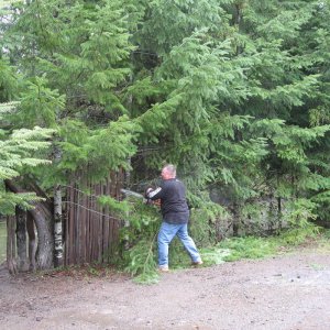 Orca_Run_Cleanup_004