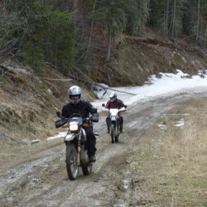 Mt_LoLo_Day_012