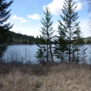 Mt_LoLo_Day_016