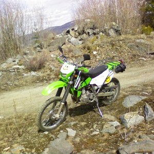 Talus April 2010