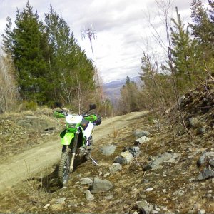 Talus April 2010