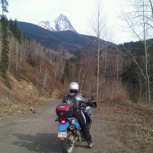 IMG00245-20100425-1656