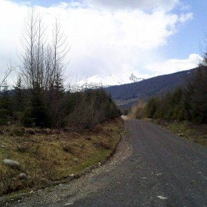 Cedar_FSR_008