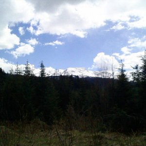 Cedar_FSR_007