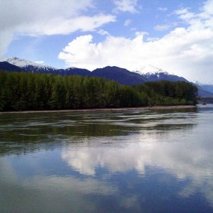 Cedar_FSR_019