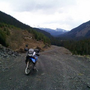 Cedar_FSR_011
