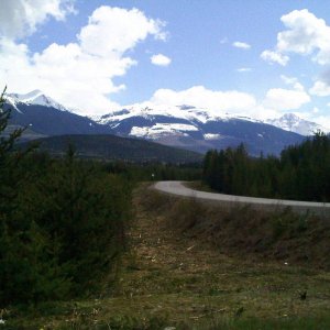 Cedar_FSR_003