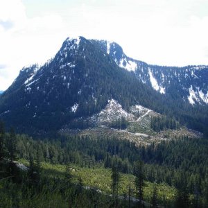 IMGP0342