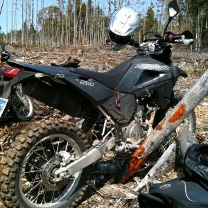husky side stand
