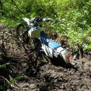 dr350_in_mud_2