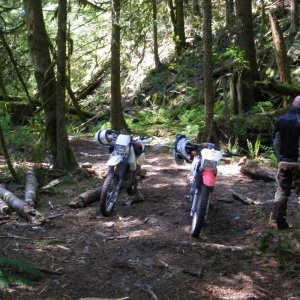 bikes_Art_on_trail