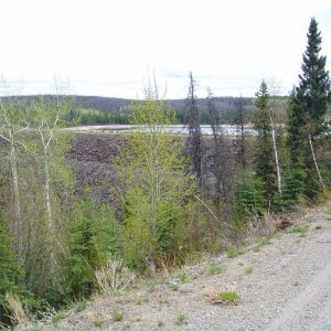 Kenney DAm