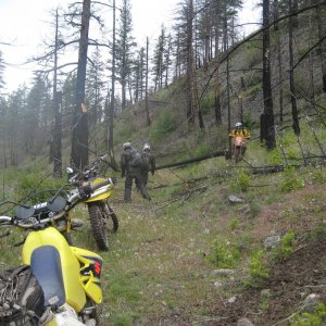 2010_DZ_Preride_029
