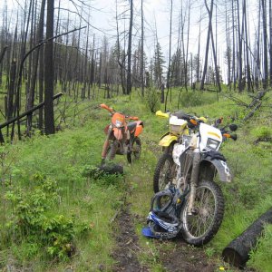 2010_DZ_Preride_030