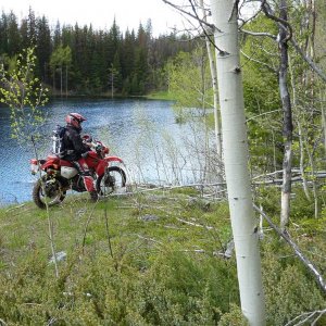 Portage