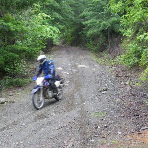 Alex_heads_for_the_stram_crossing