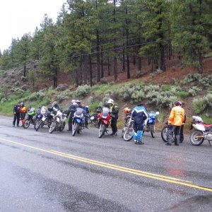 Mustering_on_Hwy_12