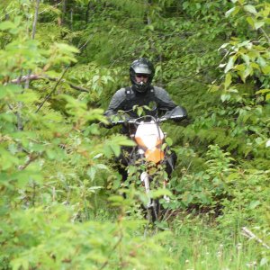 lsds_pre_logan_lk_005