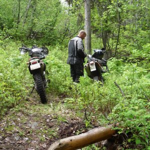 lsds_pre_logan_lk_003