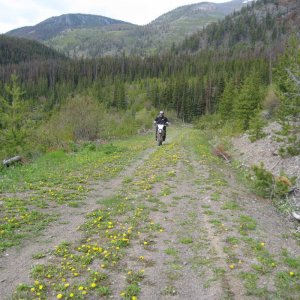 2010_DZ_Preride_011