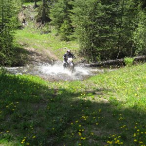 2010_DZ_Preride_015