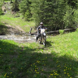 2010_DZ_Preride_0161
