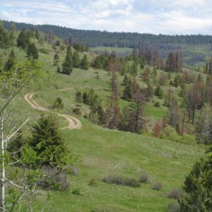 2010_DZ_Preride_0171