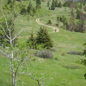 2010_DZ_Preride_018