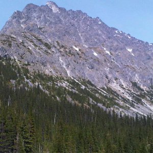 Rose Mine 5
