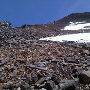 Rose Mine 8