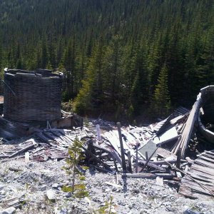 Rose Mine 9
