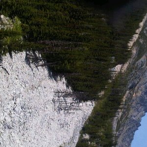 Rose Mine 11