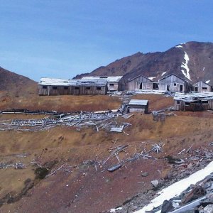 Rose Mine 12